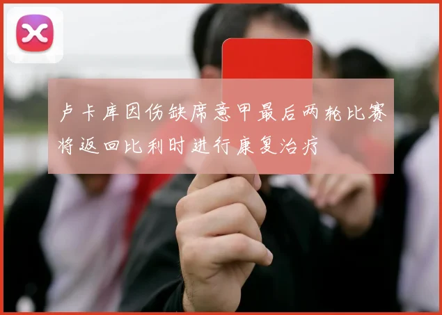 卢卡库因伤缺席意甲最后两轮比赛将返回比利时进行康复治疗
